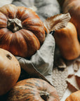 A close-up still life of several natural pumpkins and gourds arranged with dried leaves on a rustic surface, with soft warm lighting and shallow depth of field.