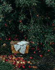A rustic woven picnic basket sits on the ground beneath apple trees, with a white cloth draped over the side and an open book resting on top. Red apples are scattered on the ground and hanging from the surrounding branches.