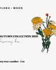 Autumn 2026 Discovery Box