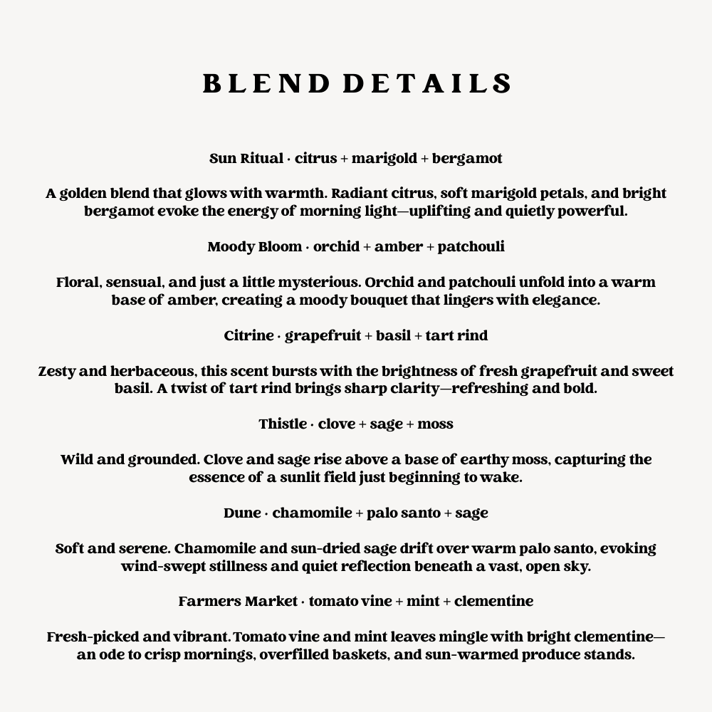 Spring 2026 Discovery Box