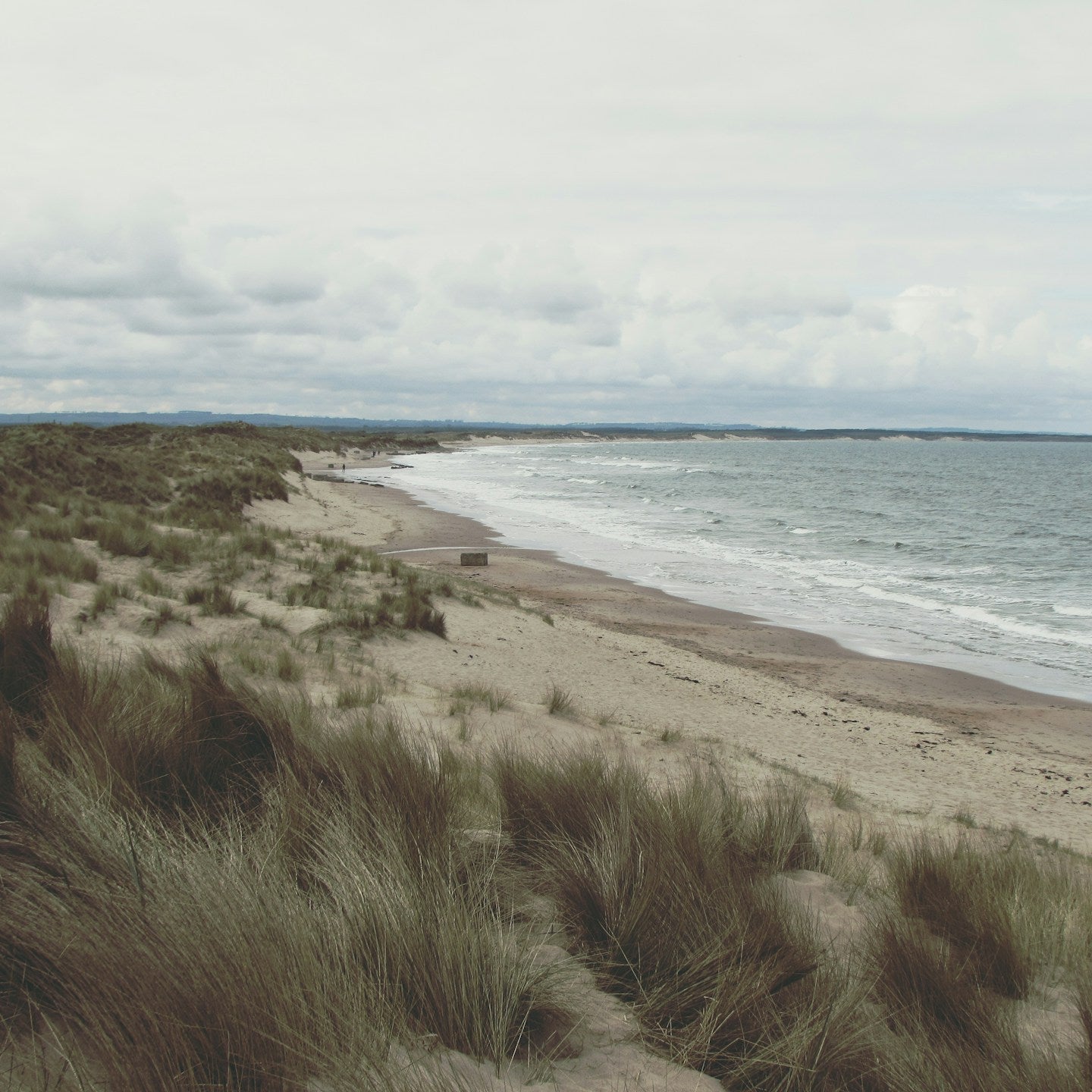 Beach scene with sand, grass, and water under a cloudy sky