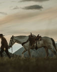 Cowgirl | lavender + leather + amber